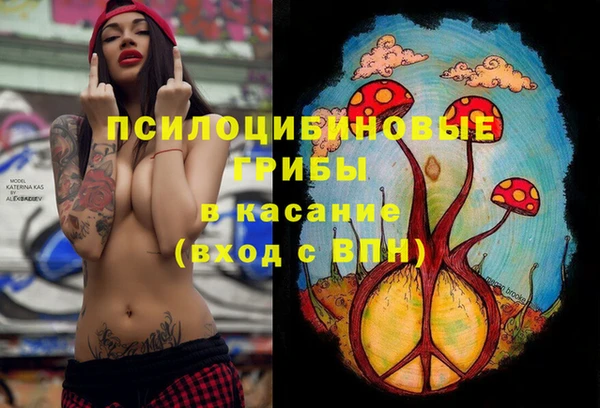 сатива Баксан