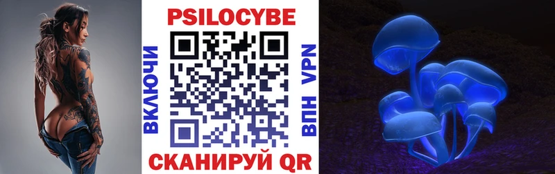 дарнет шоп  Шагонар  Галлюциногенные грибы Psilocybe 