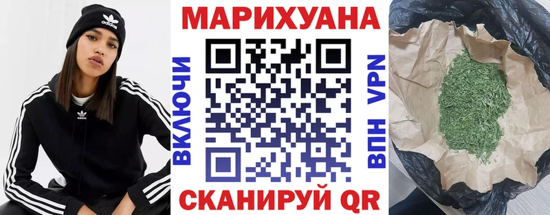 Каннабис план Шагонар
